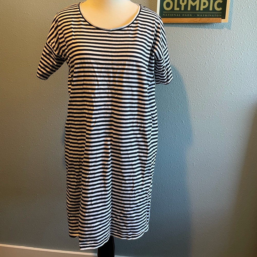 Everlane Tee Dress